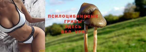 PSILOCYBIN Володарск