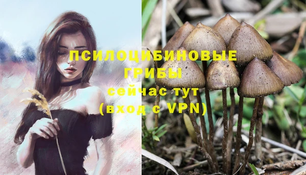 PSILOCYBIN Володарск